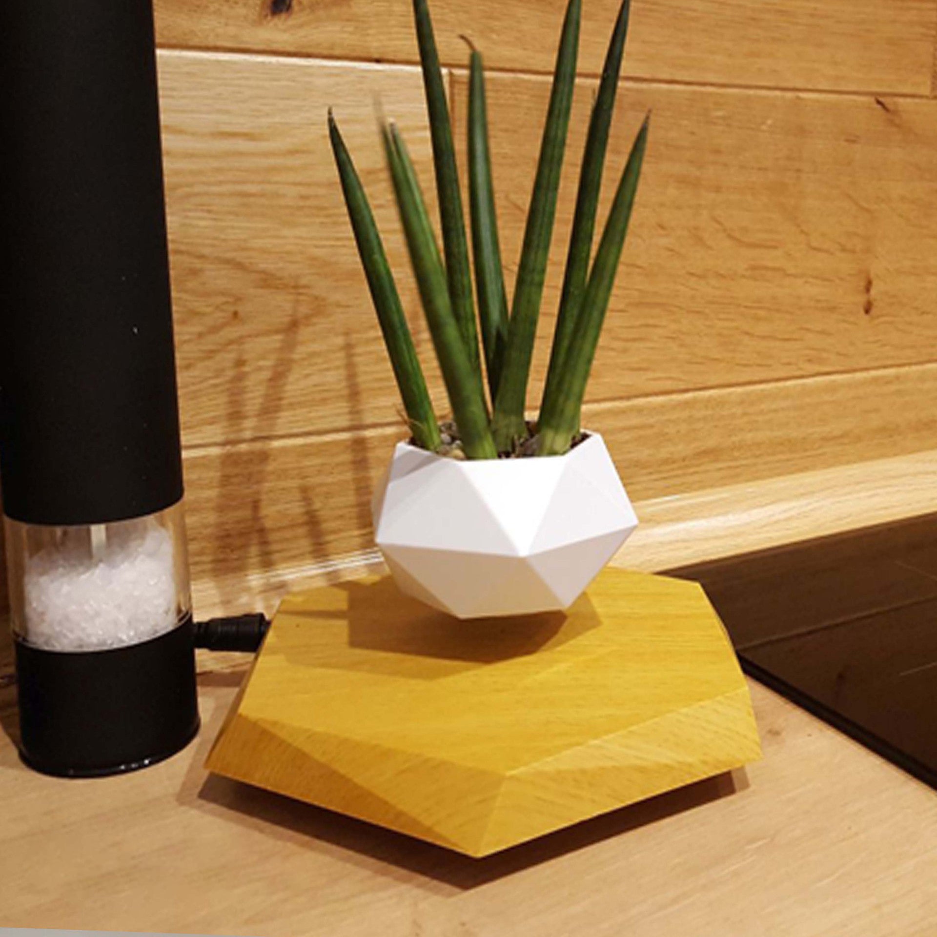 Levitating magnetic flower pot planter in white